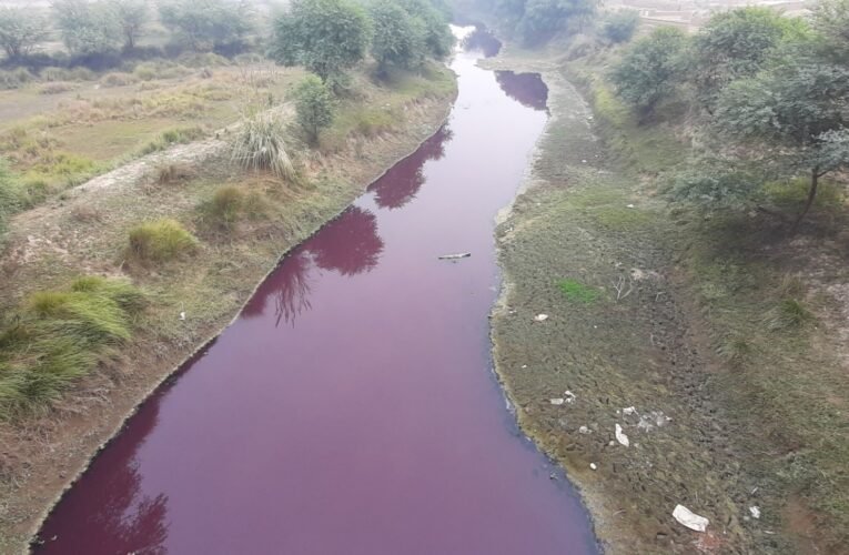 भदोही के आठ डाईंग प्लांट को बंद करने का आदेश, मोरवा को रहे प्रदूषित